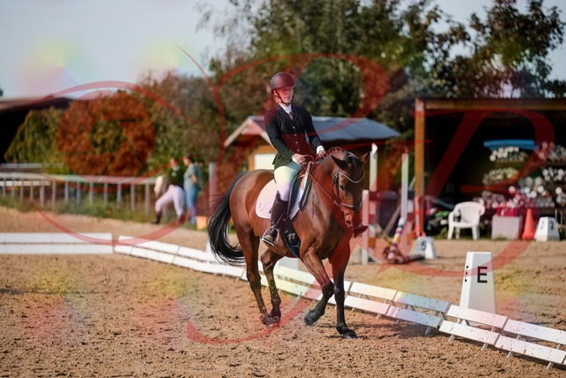 2026_10_03_Siefer-Hof_131121_Z63_74729728 | Professionelle Reitsport-, Turnier- und Eventfotografie von Robert Broda. Galerien mit ausgewählten und bearbeiteten Bildern direkt online ansehen und bestellen.