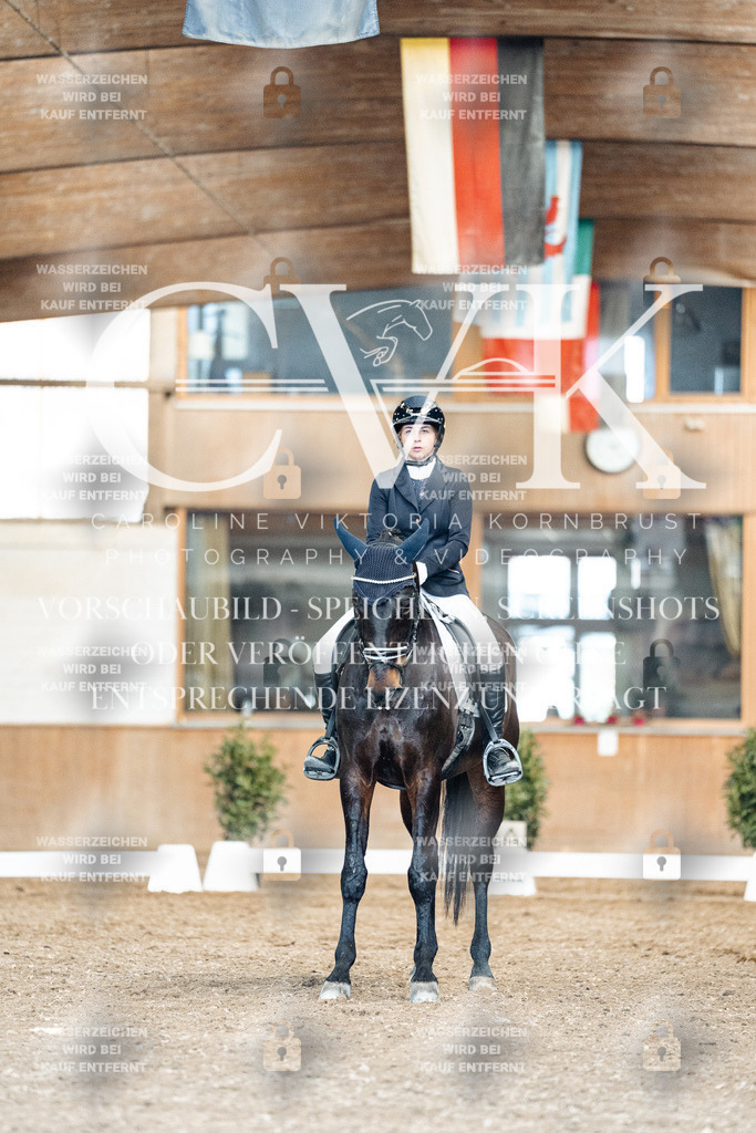 CK901343 | Turnierfotografie Pferdefotografie Trier Rheinland-Pfalz Pferdesport Reitsport Tierfotografie Sportfotografie Pferdevideo Pferdevideografie Equestrianvideography equestrianphotography  - Realisiert mit Pictrs.com