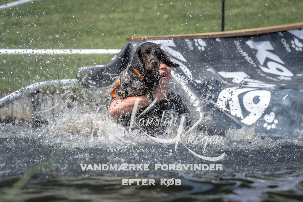 1215_ZZ96259 | kk-dogfotos