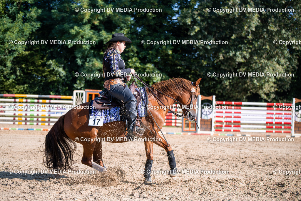 ZS1_0732 | dv-media-shop - Realisiert mit Pictrs.com