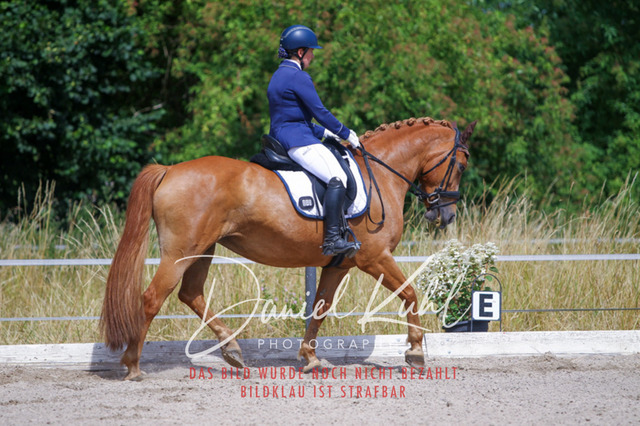 DKP46672 | Turniersportfotografie; Pferdefotografie; Dressurfotografie