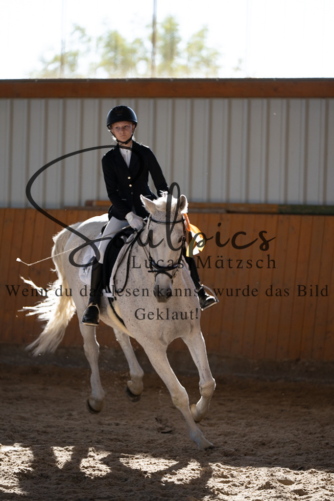 A7V01825 | Turnier/Reitfotograf