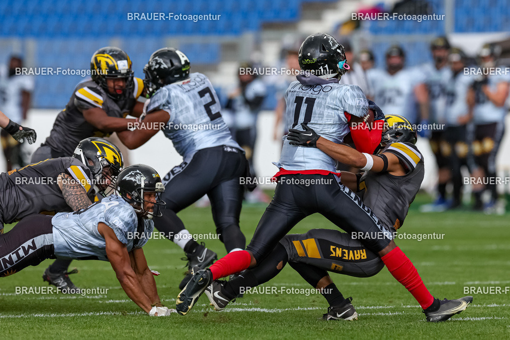 097_Ravens_20230827_0738 | BRAUER-Fotoagentur