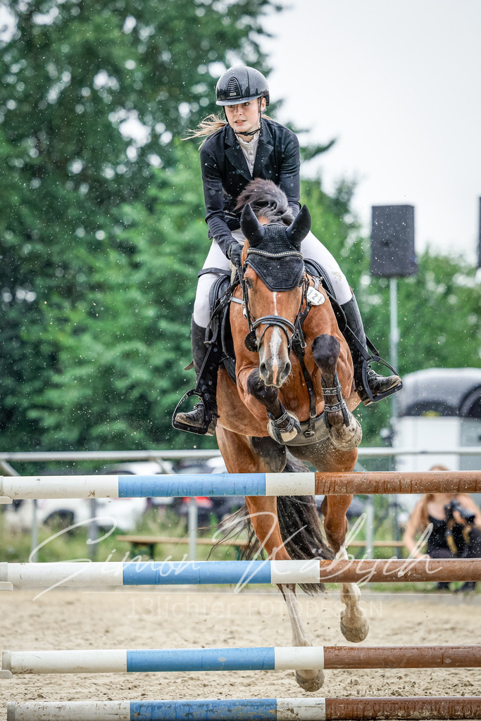 20250706-_3LI2504 | Tierfotografie Pferde, Hunde, Katzen, Haustiere.
Turnierfotografie Reitturniere, Reiten, Springreiten, Dressur in Hanau, dem Main-Kinzig-Kreis und dem Rhein-Main- Gebiet um Frankfurt