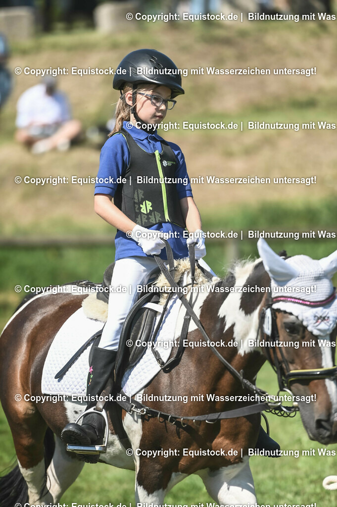20230910_11-2_Führzügel-WB_0116 | Foto: Thomas Hartig