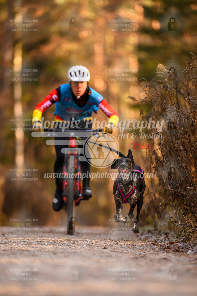 MompixPhotography_DM_AKDM_SO_2025_Bike-24 | PayLife