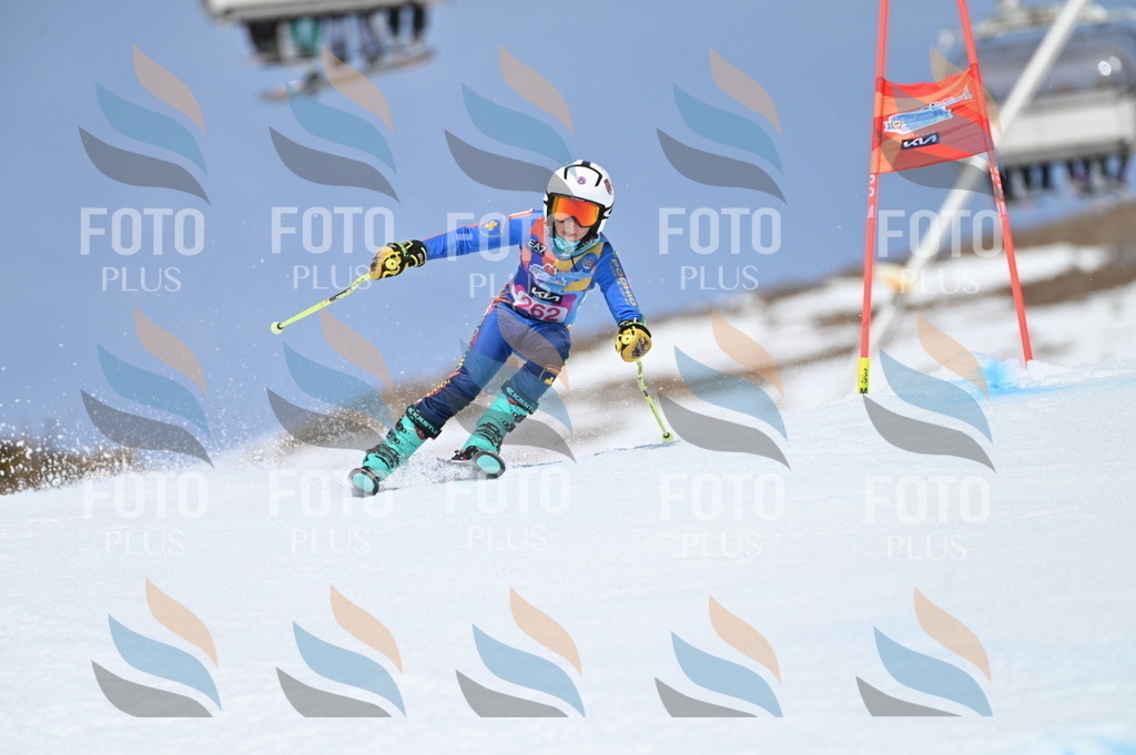 BGV_2103 | holidayphoto