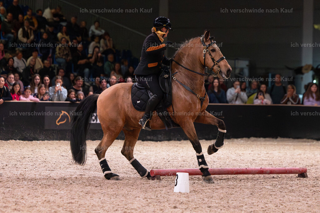 JoseraCup-210 | working equitationturnier fotograf videograf stoibphotography marixx film working equitation deutschland reitsport turnierfotografie eventfotografie equestrian events