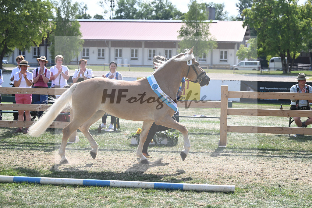 Kat-Nr. 9 Giorgia G_Grandauer_20231631 | hf-fotografie - Realisiert mit Pictrs.com