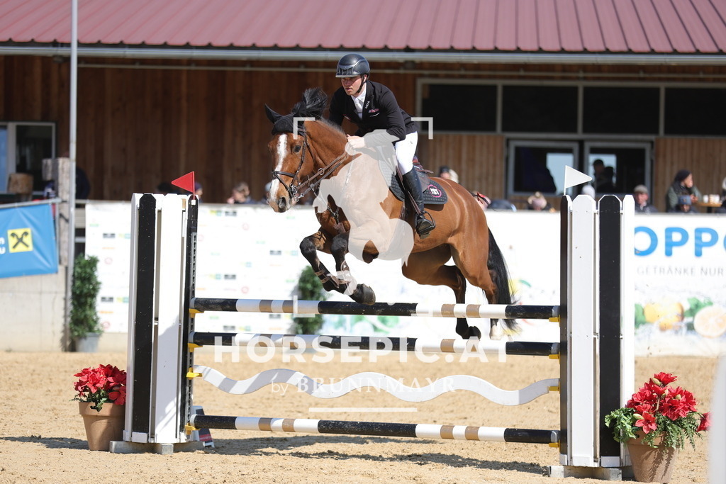 0P6A0659 | Willkommen bei Brunnmayr - Design & Fotografie – Ihrem Spezialisten für Reitturniere und Pferdeveranstaltungen in Oberösterreich, Salzburg und Bayern! Seit über 17 Jahren sind wir leidenschaftlich dabei.