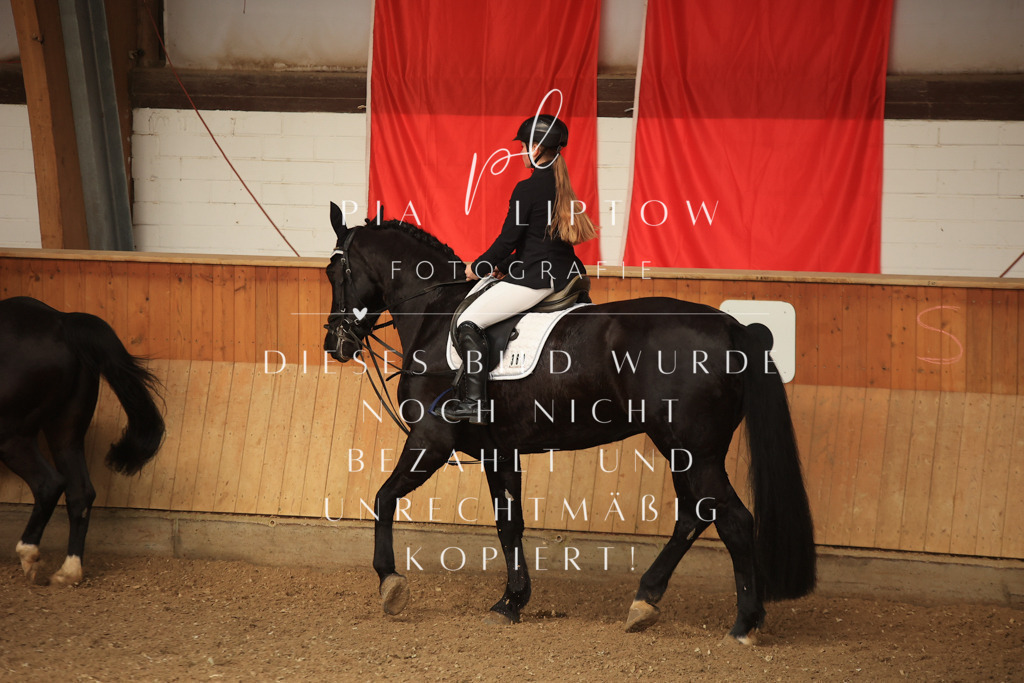 IMGT5668 | pl-fotografie