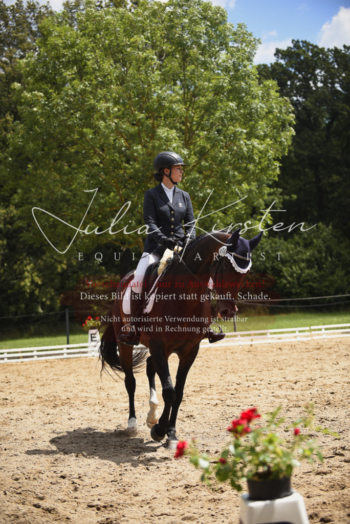 DSC_1506 | Pferde- und Turnierfotografie in Westsachsen. Pferdeportraits, Auftragszeichnungen und intuitive Kunst.