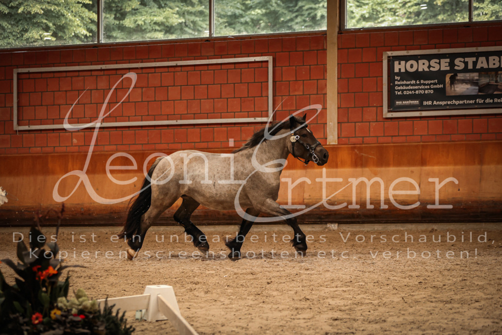 SaFL00344 | Leoni Ertmer Photography - Realisiert mit Pictrs.com