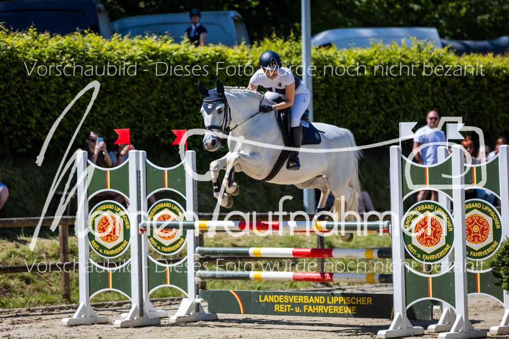 Donop24-Stil-L-041 | MomenTaufnahmen Pferdesportfotos