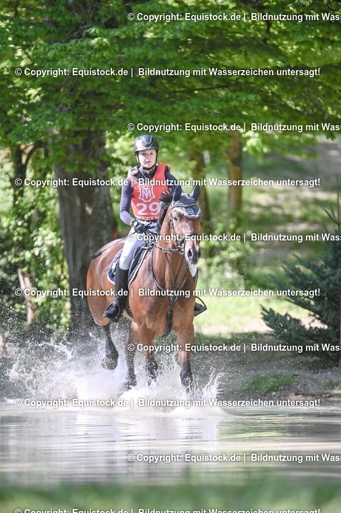 20250517_CCI2_Gelände_0796 | Foto: Thomas Hartig