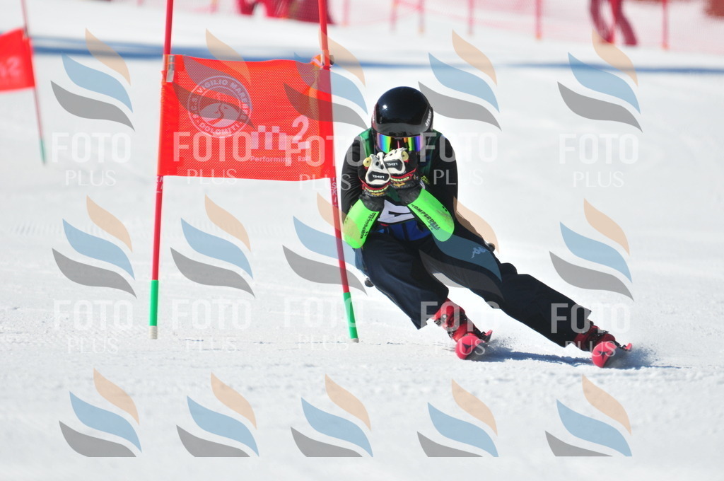 C4226 | holidayphoto