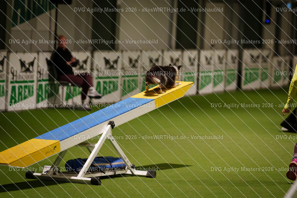 allesWIRTHgut_Tierfotografie-DVG_Agility_Masters_2026-18_08-7R506545 | Professionelle Tierfotografie in Mönchengladbach von Daniel Wirth (allesWIRTHgut). Liebevolle & natürliche Bilder von Hunden & Katzen für unvergessliche Erinnerungen.