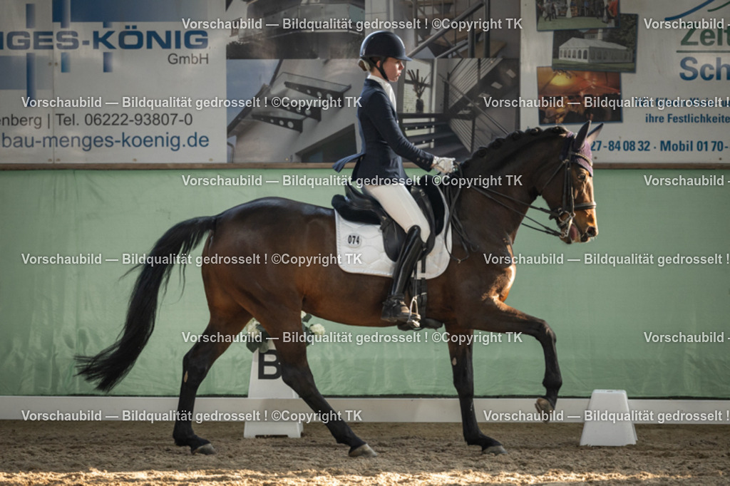 _D5A3270 | Emotionale Pferde- & People-Fotografie rund um Heidelberg, Leimen & Umgebung. Natürliche Fotos von Pferd, Mensch & Familie. Jetzt Termin sichern!