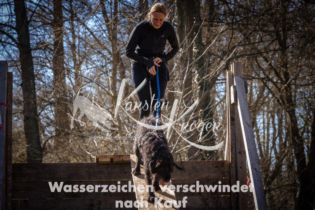 0930_ZZ95953 | kk-dogfotos