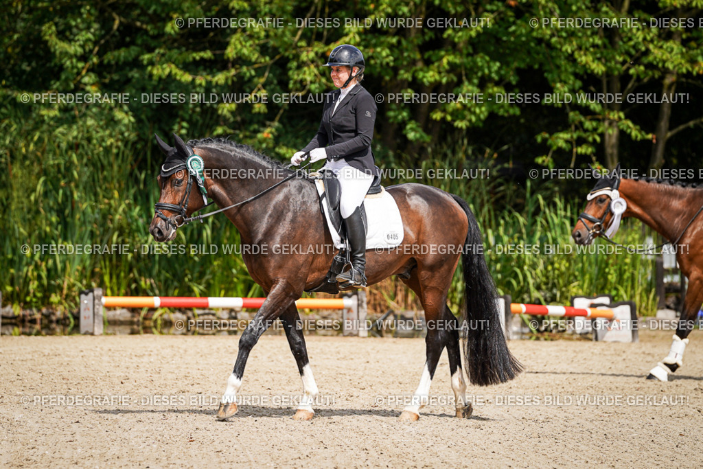 DSC09820 | Pferdegrafie