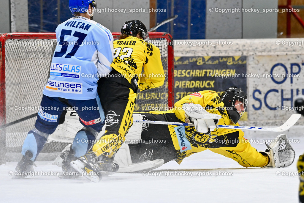 EC Spittal Hornets vs. ESC Steindorf 7.12.2022 | #1 Zauchner Rene, #22 Thaler Tim, #57 Wilfan Franz