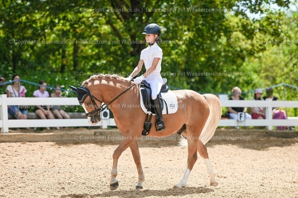 20230715_09_Dressur-WB_0238 | equistock