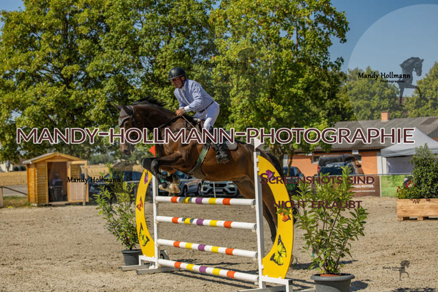 26-7-24 SPF M+-442 | mandyhollmannphotographie