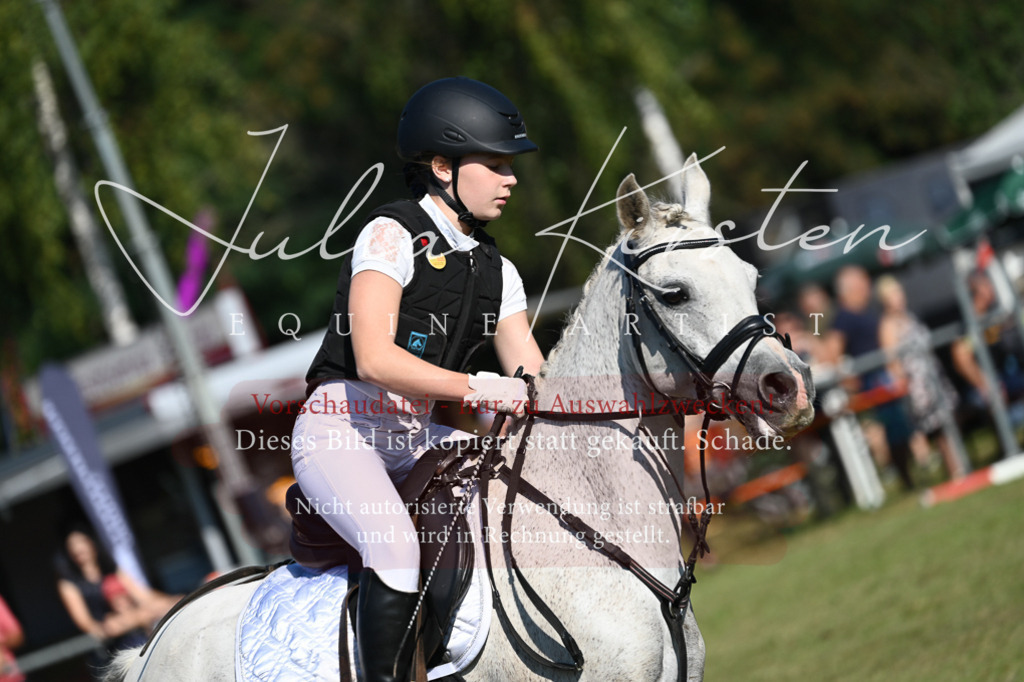 DSC_5275 | Pferde- und Turnierfotografie in Westsachsen. Pferdeportraits, Auftragszeichnungen und intuitive Kunst.