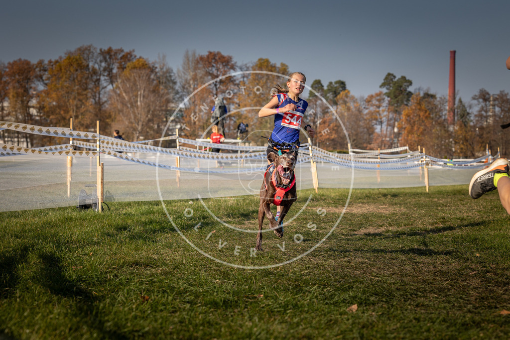 CaniXpix_0L8A9097 | Hundefotografie, Tierfotograf, Pfotenfotografie, Fotoshooting Hund, Hunde Portrait, Hundesport, Hundeportraits, Heideshooting, Hunde, Sportfotograf, Hundefotograf, Turnierhundsport, THS,  - Realisiert mit Pictrs.com