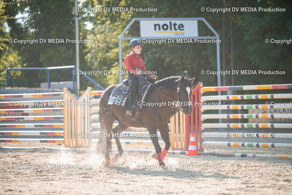 EWP_7132 | dv-media-shop - Realisiert mit Pictrs.com