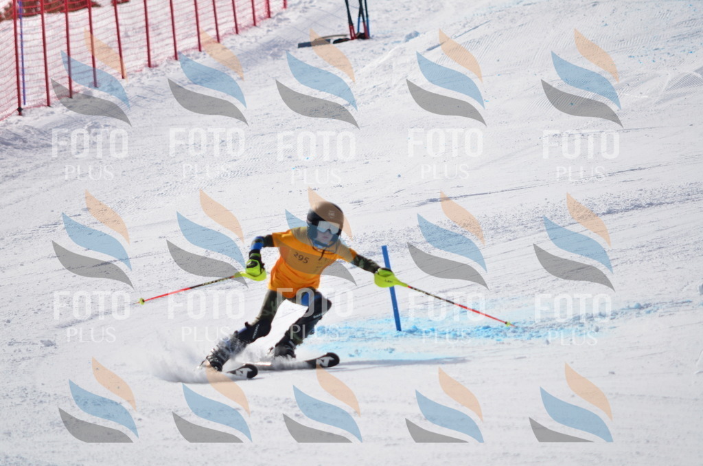 C8718 | holidayphoto