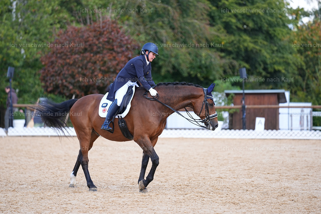 09_2-169-DRESSUR  S_  -Marixx-5943 | working equitationturnier fotograf videograf stoibphotography marixx film working equitation deutschland reitsport turnierfotografie eventfotografie equestrian events