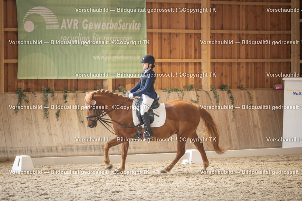 _D5A5744 | Emotionale Pferde- & People-Fotografie rund um Heidelberg, Leimen & Umgebung. Natürliche Fotos von Pferd, Mensch & Familie. Jetzt Termin sichern!