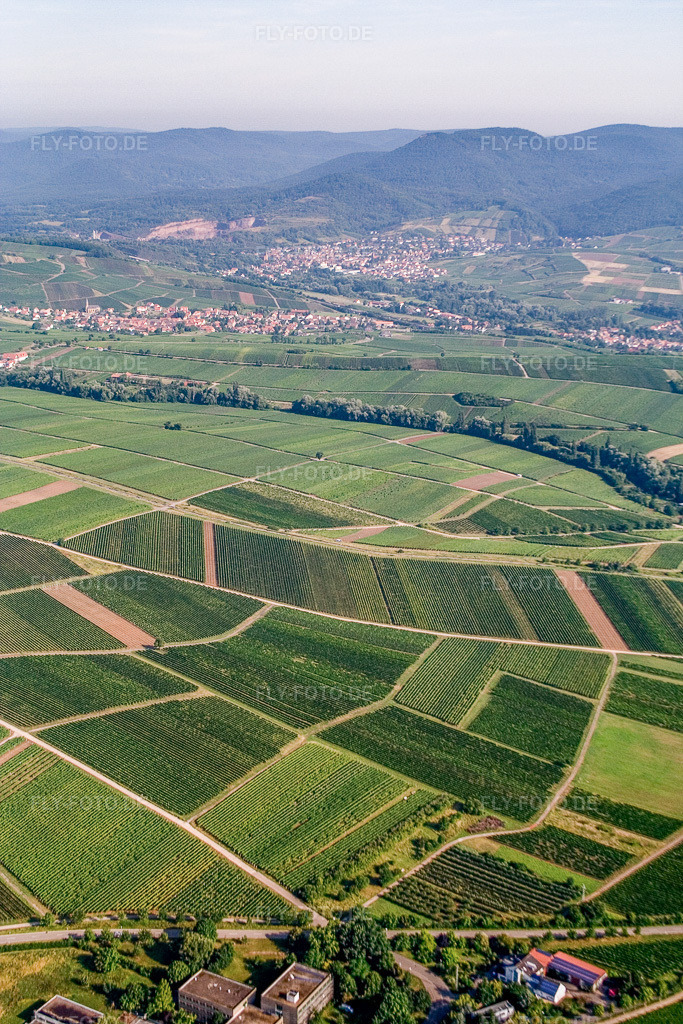 Luftbild: Ranschbachtal von Südosten im Ortsteil Arzheim in Landau im Bundesland Rheinland-Pfalz in Deutschland. Foto: IMG_12012.jpg vom 31.07.2008 durch Werner Riehm/FLY-FOTO.de