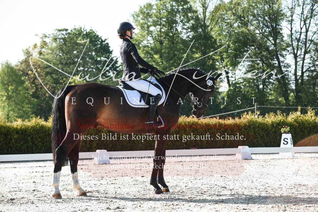 20230518_JK-Röhrsdorf-09-0550 | Pferde- und Turnierfotografie in Westsachsen. Pferdeportraits, Auftragszeichnungen und intuitive Kunst.