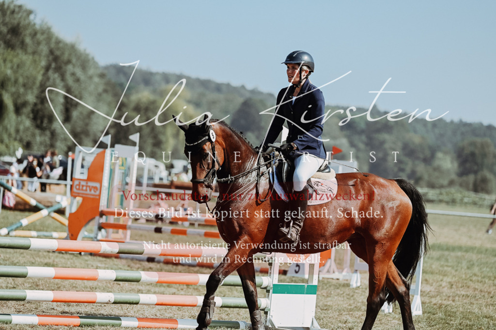 DSC_9383 | Pferde- und Turnierfotografie in Westsachsen. Pferdeportraits, Auftragszeichnungen und intuitive Kunst.