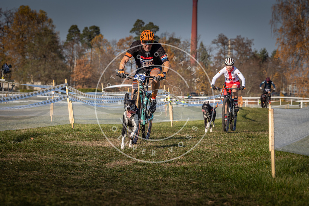 CaniXpix_0L8A8143 | Hundefotografie, Tierfotograf, Pfotenfotografie, Fotoshooting Hund, Hunde Portrait, Hundesport, Hundeportraits, Heideshooting, Hunde, Sportfotograf, Hundefotograf, Turnierhundsport, THS,  - Realisiert mit Pictrs.com