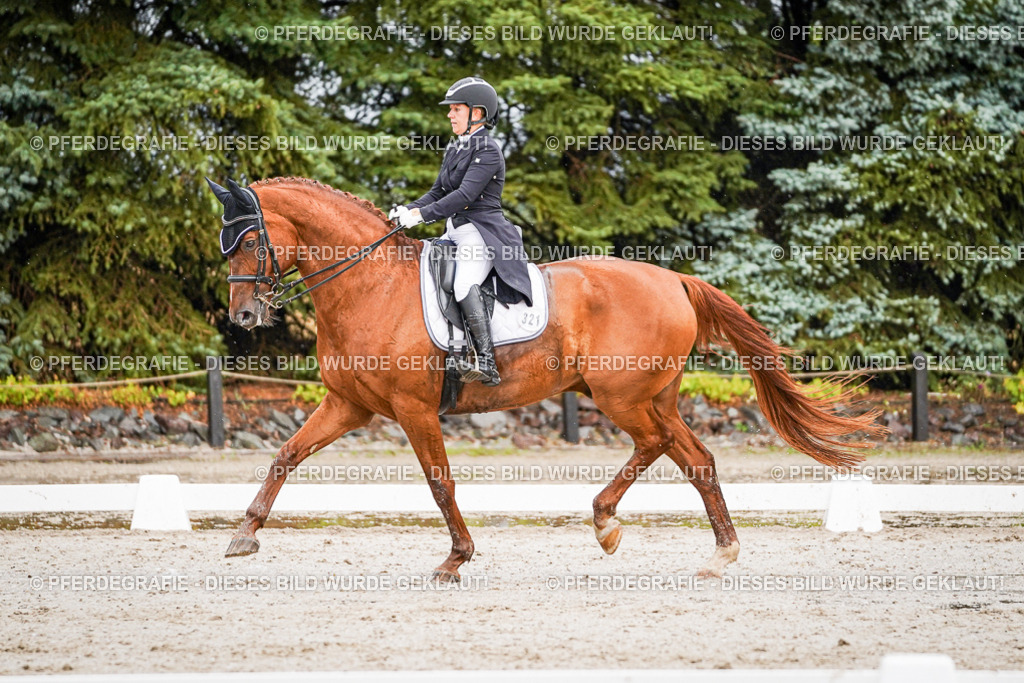 DSC09459 | Pferdegrafie