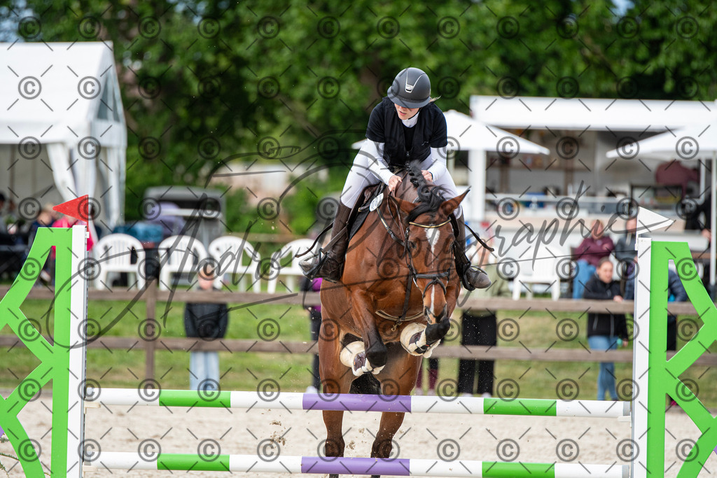 KPT_7019 | andre_photographic