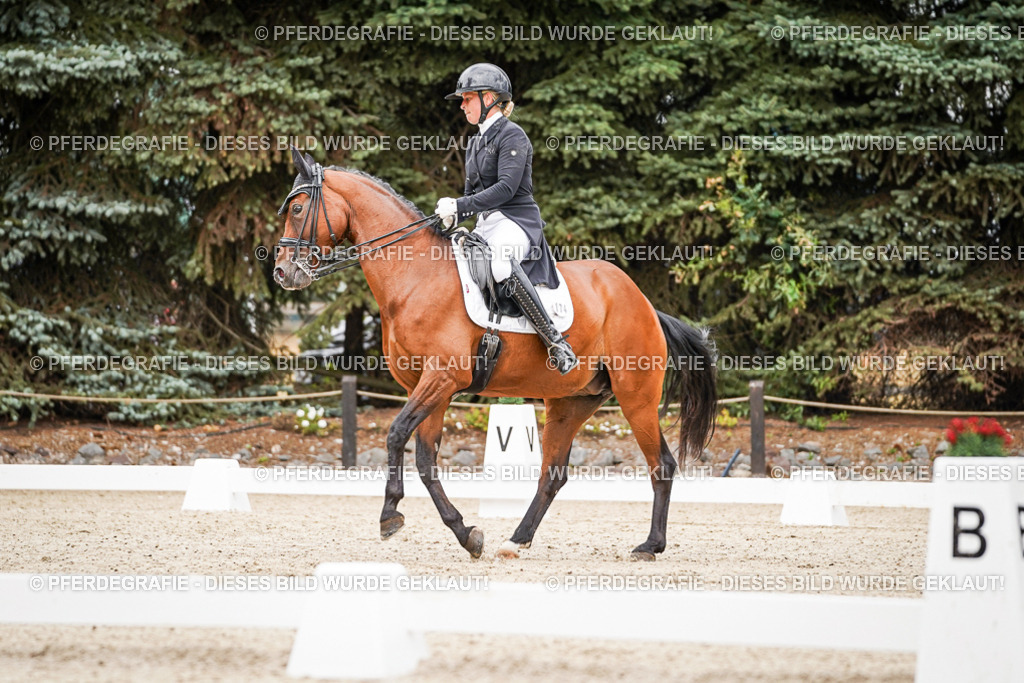 DSC07289 | Pferdegrafie