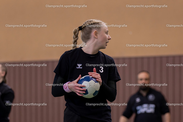 Handball I Damen I Saison 2025-2026 I Verbandsliga Süd I 15. Spieltag I HSG Kalkberg 06 - HSG Holsteinische Schweiz 181 | Franziska Hänisch (3, HSG Kalkberg 06) - Realisiert mit Pictrs.com