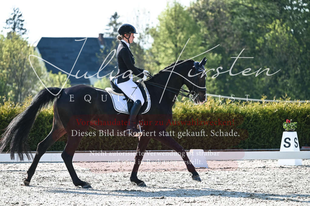 20230514_JK-Röhrsdorf-18-078 | Pferde- und Turnierfotografie in Westsachsen. Pferdeportraits, Auftragszeichnungen und intuitive Kunst.