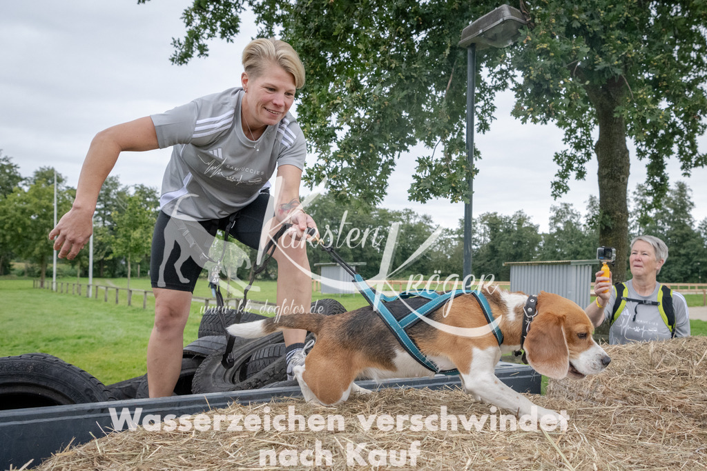 _ZZ91997 | kk-dogfotos