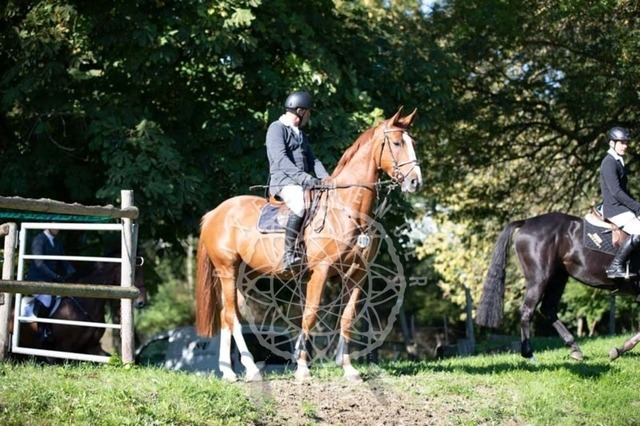 2B4A0234 | pixelfaenger - Realisiert mit Pictrs.com