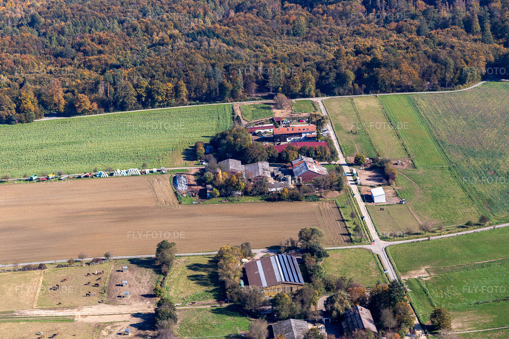 Luftbild: Erlebnishof Karlsbad, Beckers Steinighoflädle Bauernladen im Ortsteil Langensteinbach in Karlsbad im Bundesland Baden-Württemberg in Deutschland. Foto: IMG_129901.jpg vom 24.10.2021 durch Werner Riehm/FLY-FOTO.deAuflösung des Originals: 5472 x 3648 px