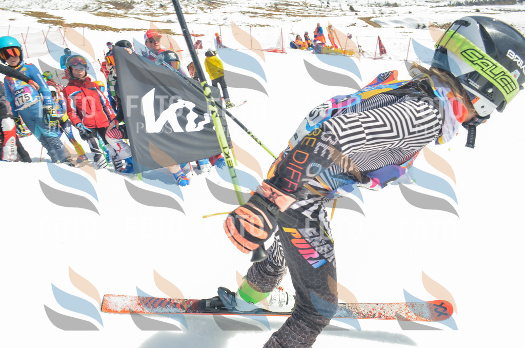 _ELE6391 | holidayphoto