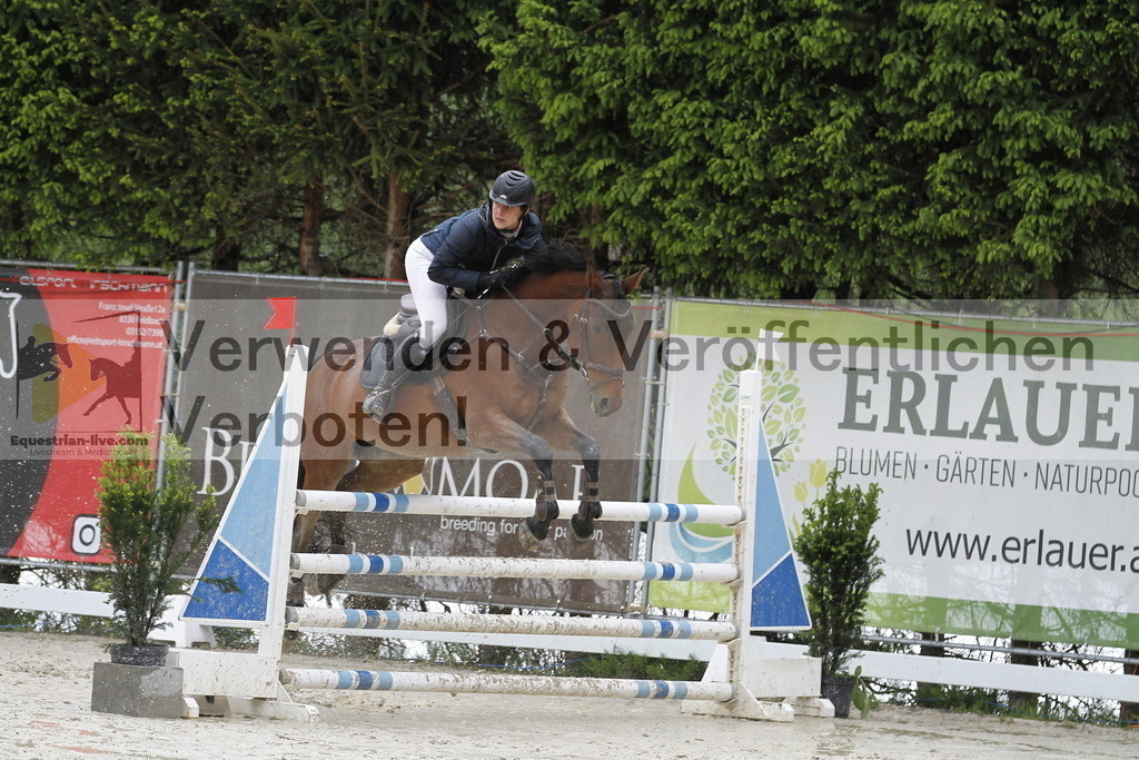 _MG_1451 | equestrian-live-com
