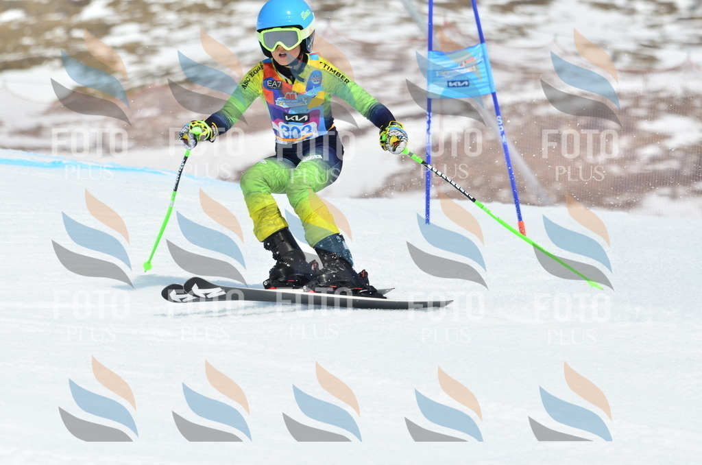 _ELE2229 | holidayphoto