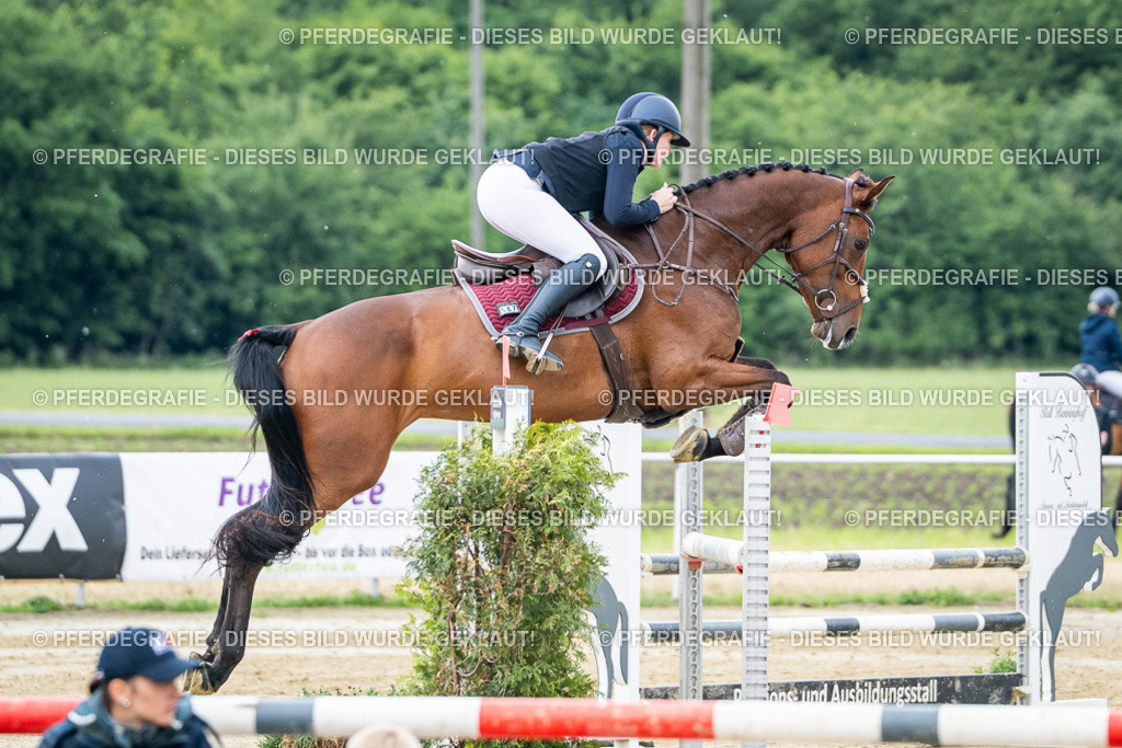 DSC04114 | Pferdegrafie