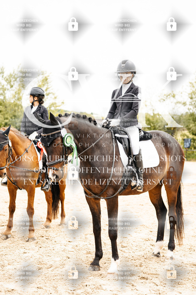 CK703672 | Turnierfotografie Pferdefotografie Trier Rheinland-Pfalz Pferdesport Reitsport Tierfotografie Sportfotografie Pferdevideo Pferdevideografie Equestrianvideography equestrianphotography  - Realisiert mit Pictrs.com